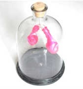 膈肌運(yùn)動(dòng)模擬器